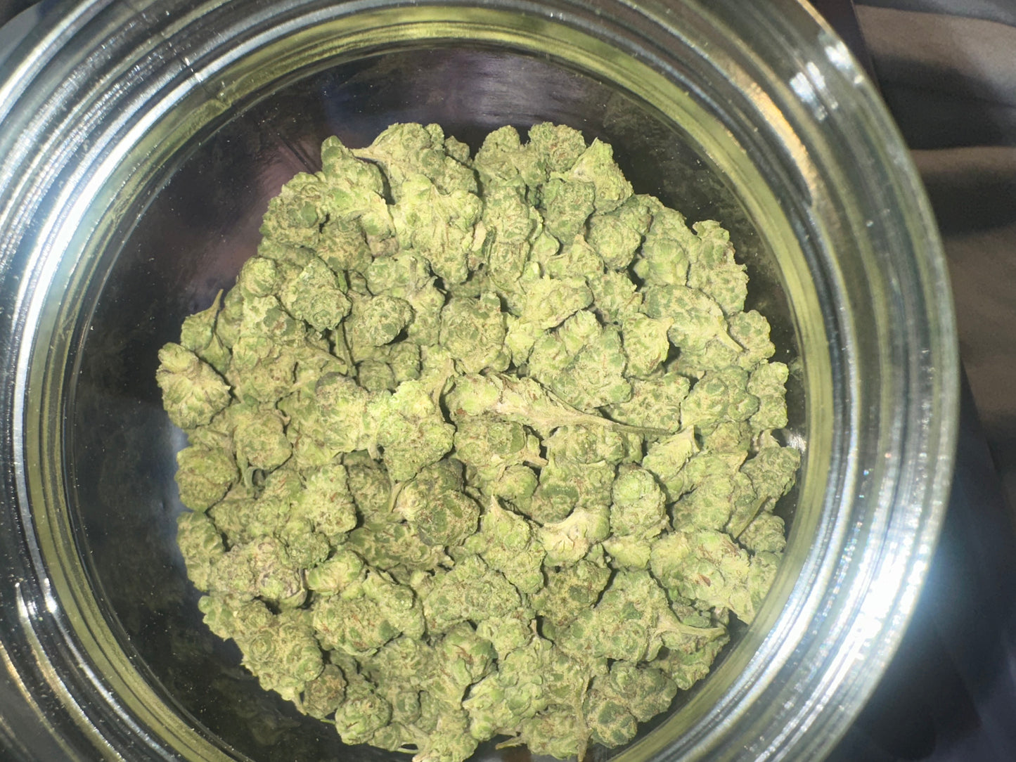 Lemon Cherry Gelato Indoor Smalls